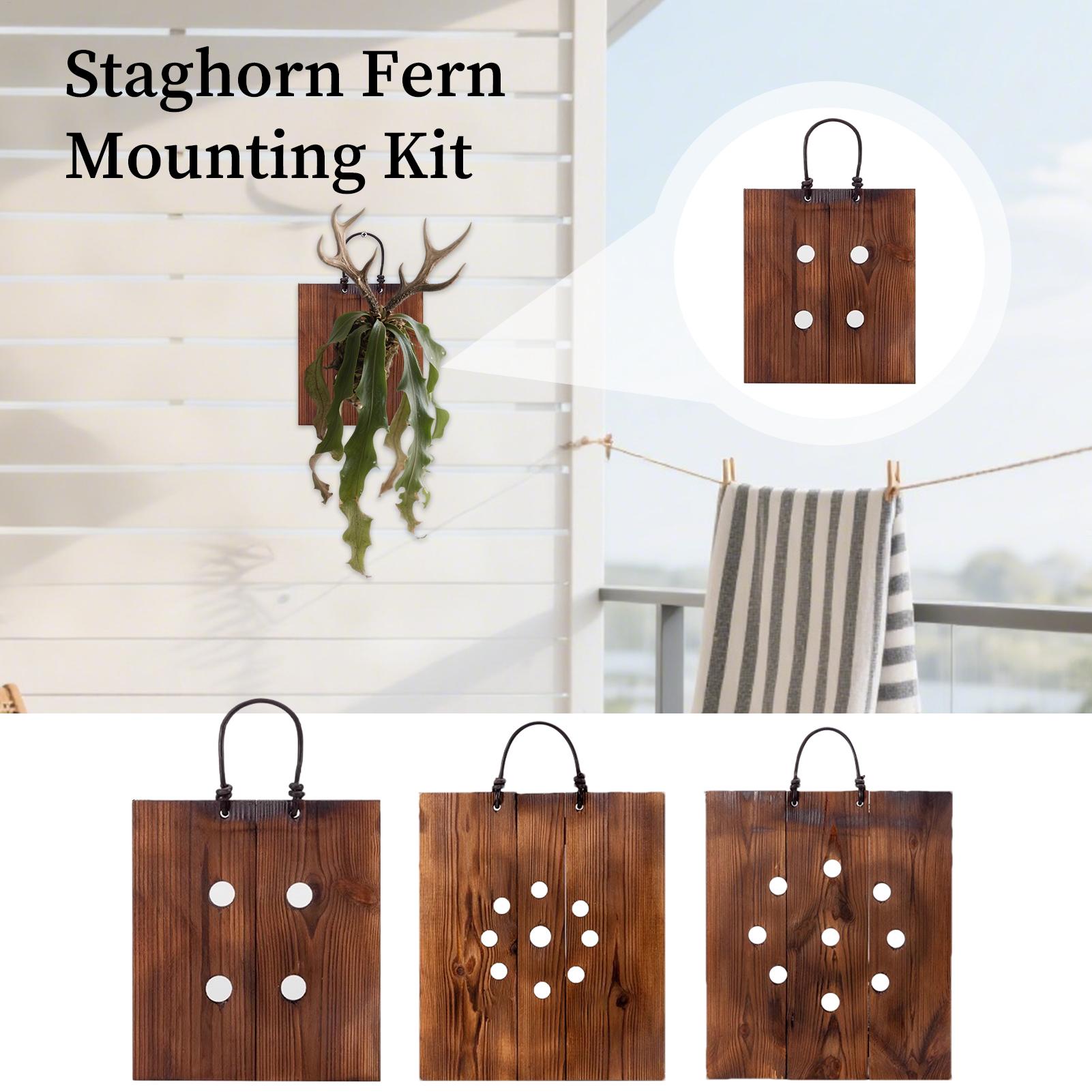 Plant Parents - Настенная деревянная подставка для растений Staghorn