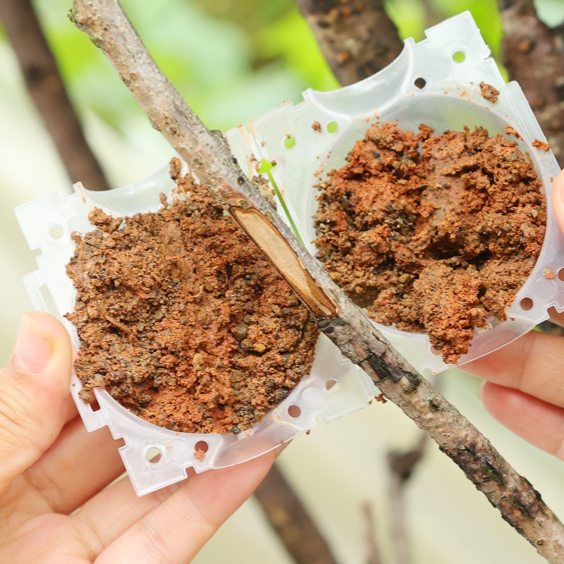 Многоразовые инструменты для у – обзор и цена Plant Parents