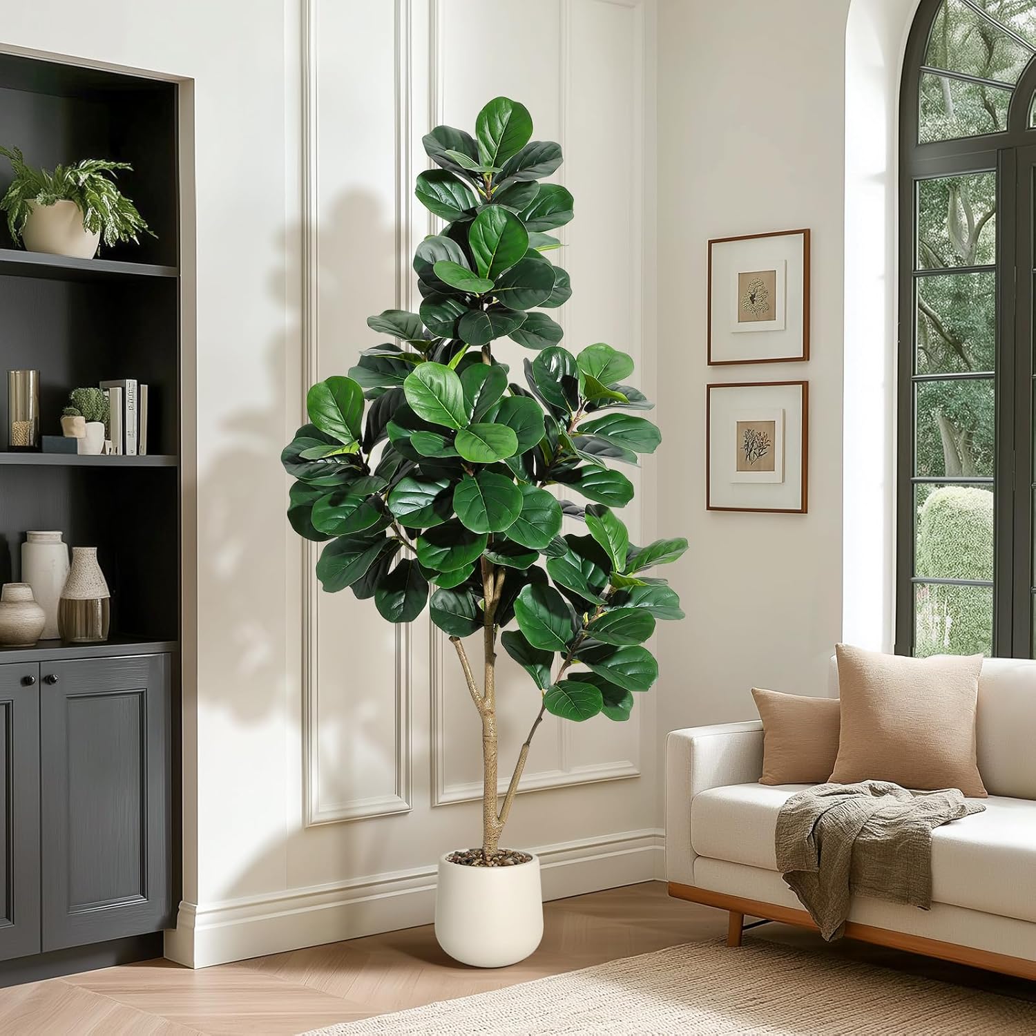4-7 футов Fiddle Leaf Fig Tree – обзор и цена Plant Parents