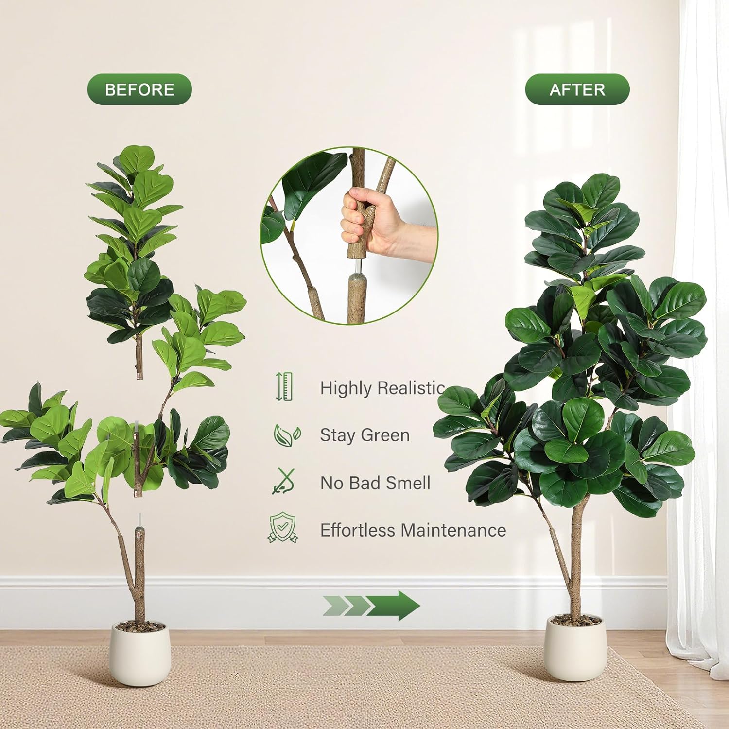 4-7 футов Fiddle Leaf Fig Tree – обзор и цена Plant Parents