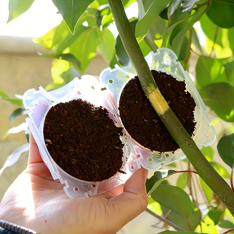 Набор для прививки и укоренени – обзор и цена Plant Parents