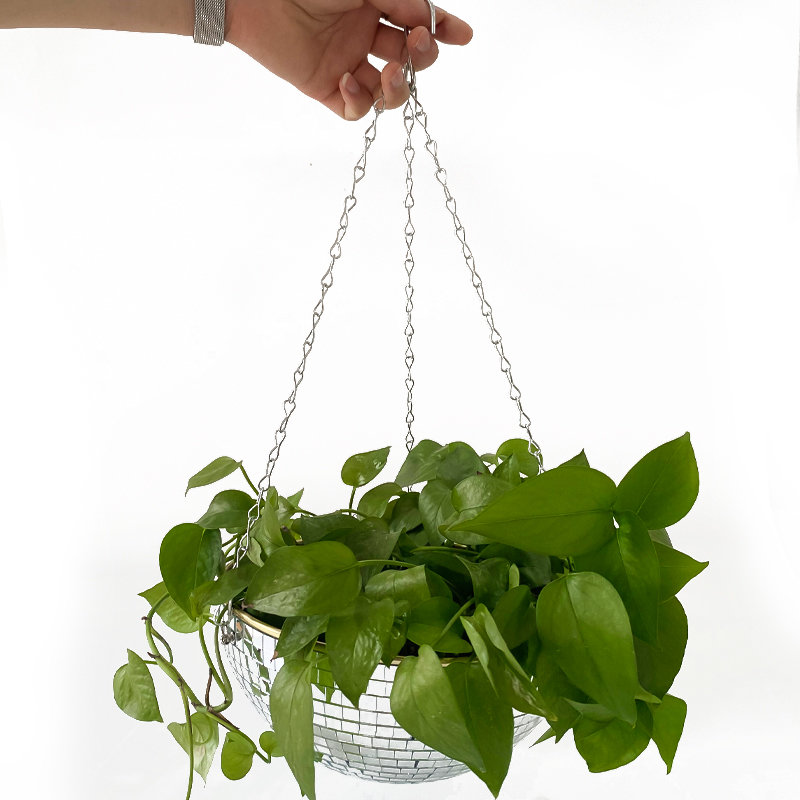 Декоративное кашпо-корзина в ф – обзор и цена Plant Parent
